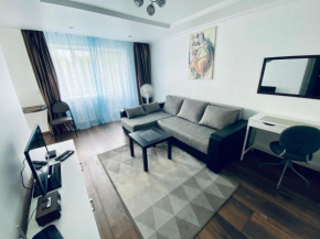 Fine Apartment 2 in Jelgava